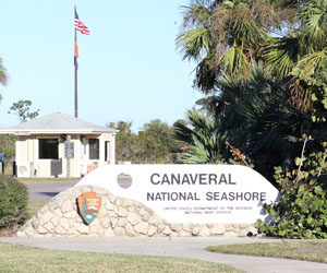 Canaveral National Seashore