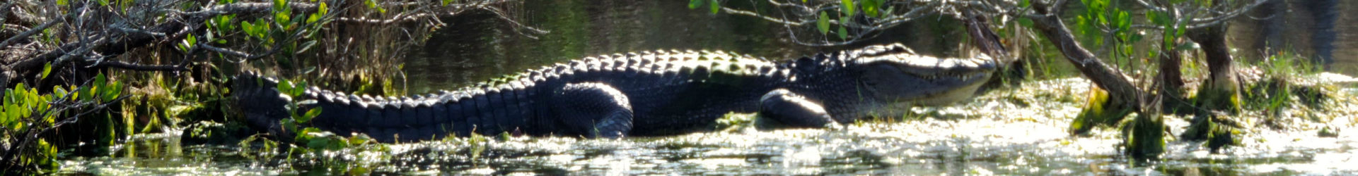 Natural wonders beyond the Magic Kingdom!