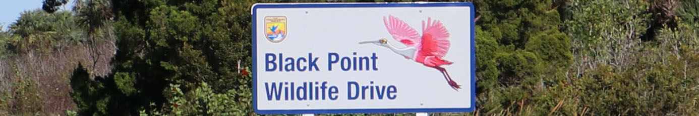 Black Point Drive